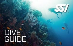 472573_dive_guide_small_zoomview